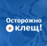 Осторожно клещ!. - Тенькинский городской округ