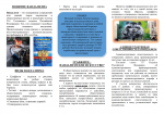 Генеральная прокуратура информирует!